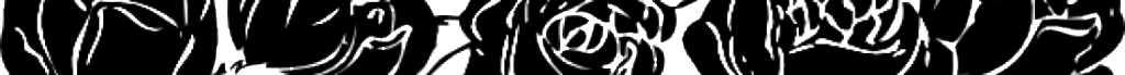 cropped-11954218341541072718johnny_automatic_rose_border.svg_.hi_2.png